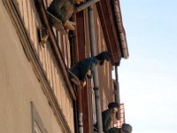 Muehlhausen-2013 (46)