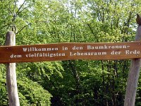 Muehlhausen-2013 (56)