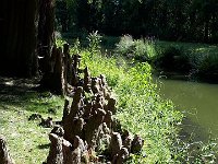 k-Bad Muskau 20180729 113517 (6)