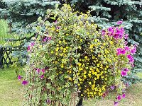 k-Miniaturenpark 20180728 151306 (30)