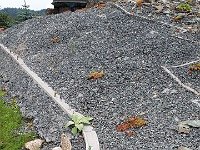 k-Miniaturenpark 20180728 151306 (42)