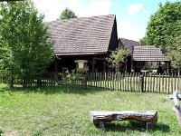 k-Rietschen 20180727 115140 (21)