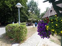 k-Rietschen 20180727 115140 (3)