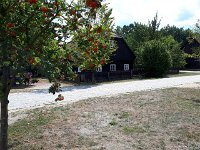 k-Rietschen 20180727 115140 (30)