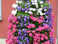 2015-07-24 EGR-Greifswald-046