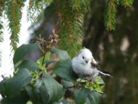 2015-07-24 EGR-Greifswald-109