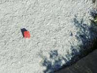 103 - Der Scherbenberg